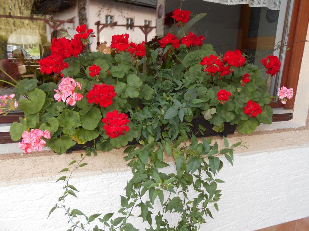 Gasthaus Traube ビヒルバッハ エクステリア 写真